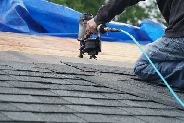 Best Roof Gutter Cleaning  in Lockport Heights, LA