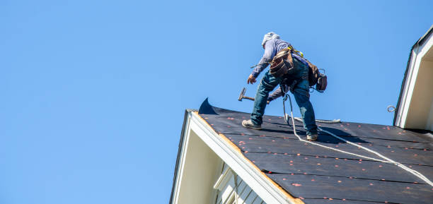 Best Gutter Installation and Roofing  in Lockport Heights, LA